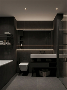 Toilet Skp Files 